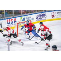 Springfield Thunderbirds' Vadim Zherenko and Charlotte Checkers' Dominic Franco and Patrick Giles in action