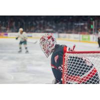 Grand Rapids Griffins' John Lethemon