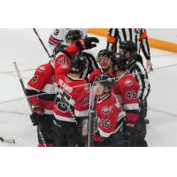 Belleville Senators celebrate win