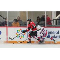 Belleville Senators' Jarid Lukosevicius and Rochester Americans' Linus Weissbach in action