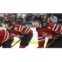 Tucson Roadrunners' Michal Mrazik and Michael Kesselring on game night