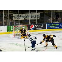 Worcester Railers forward Brent Beaudoin takes a shot against the Maine Mariners