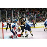 Wheeling Nailers forward Gianluca Esteves is sandwiched by the Toledo Walleye