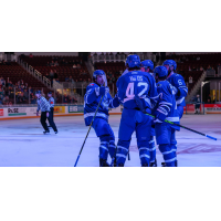 Wichita Thunder celebrate a goal