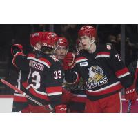 Grand Rapids Griffins huddle up after a goal