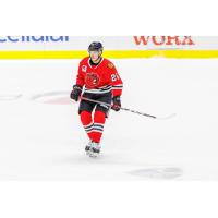 Rockford IceHogs defenseman Nolan Valleau