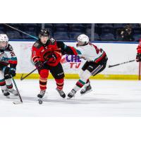 Kelowna Rockets battle the Prince George Cougars