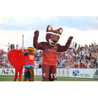 Chattanooga Red Wolves SC mascot Rusty the Red Wolf