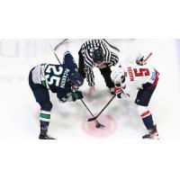 Florida Everblades' John McCarron versus South Carolina Stingrays' Austin Magera