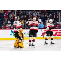 Belleville Senators' Luke Richardson and Jake Lucchini celebrating victory with team