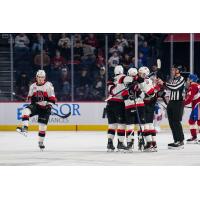 Belleville Senators celebrate victory Laval Rocket