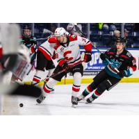 Prince George Cougars' Blake Eastman in action