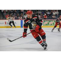 Grand Rapids Griffins defenseman Steven Kampfer