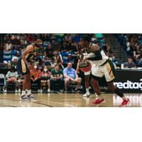 Saskatchewan Rattlers guard Mike Nuga