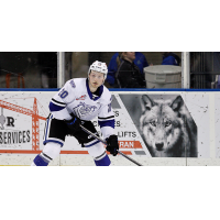 Victoria Royals left wing Alex Thacker