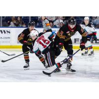 Kelowna Rockets left wing Trae Johnson vs. the Vancouver Giants