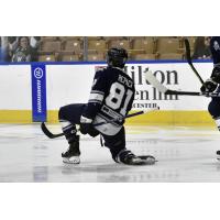 Worcester Railers' Anthony Repaci on the ice