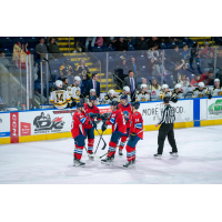 Springfield Thunderbirds on game night