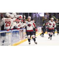 South Carolina Stingrays celebrate win