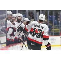 Belleville Senators' Egor Sokolov greets teammates