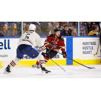 Milwaukee Admirals' Kevin Gravel and Tucson Roadrunners' Michael Carcone in action