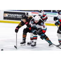 Vancouver Giants' Damian Palmieri battles Kelowna Rockets' Grady Lenton