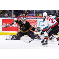 Vancouver Giants' Jesper Vikman and Kelowna Rockets' 	Dylan Wightman in actionF