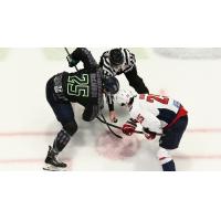 Florida Everblades' John McCarron versus South Carolina Stingrays' Bear Hughes