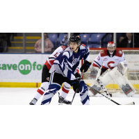 Victoria Royals' Matthew Hodson in action