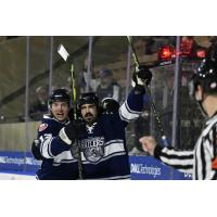 Worcester Railers celebrate a goal