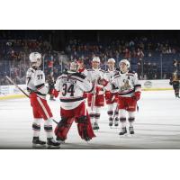 Grand Rapids Griffins celebrate a win against the Chicago Wolves