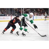 Coachella Valley Firebirds' Jeremy McKenna versus Texas Stars' Ryan Shea