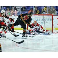 Vancouver Giants' Julian Cull in action