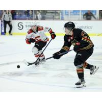 Vancouver Giants' Kyren Gronick versus Prince George Cougars' Caden Brown