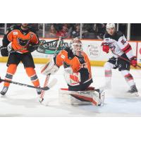 Lehigh Valley Phantoms' Cal O'Reilly and Nolan Maier and Utica Comets' Timur Ibragimov