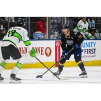 Jacksonville Icemen forward Christopher Brown