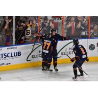 Greenville Swamp Rabbits celebrate a goal