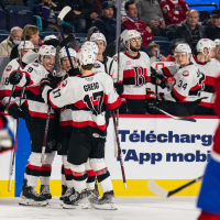 Belleville Senators celebrate a goal