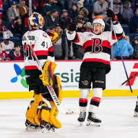 Belleville Senators celebrate a goal