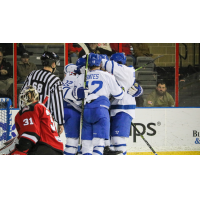 Wichita Thunder celebrate a goal