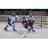 Peterborough Petes right wing Tucker Robertson vs. the Mississauga Steelheads