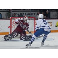 Peterborough Petes goaltender Liam Sztuska vs. the Mississauga Steelheads