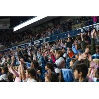 A crowd at the DCU Center cheers on the Worcester Railers