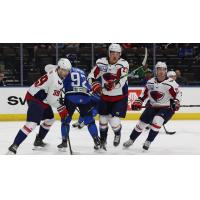 South Carolina Stingrays' Martin Has, Chaz Reddekopp and Carter Turnbull in action