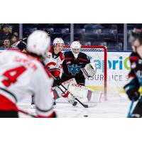 Kelowna Rockets take on the Prince George Cougars