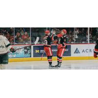 Grand Rapids Griffins celebrate a goal