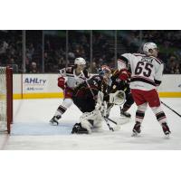 Grand Rapids Griffins' Dominik Shine in action