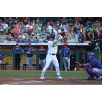 Dayton Dragons outfielder Austin Hendrick