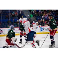 Hartford Wolf Pack's Dylan Garand and Libor Hajek versus the Springfield Thunderbirds