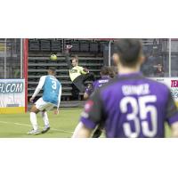 St. Louis Ambush in action against the Harrisburg Heat